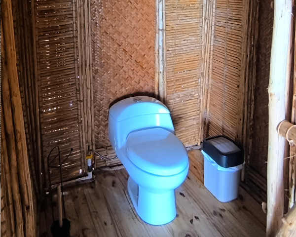 Untitled design (2)